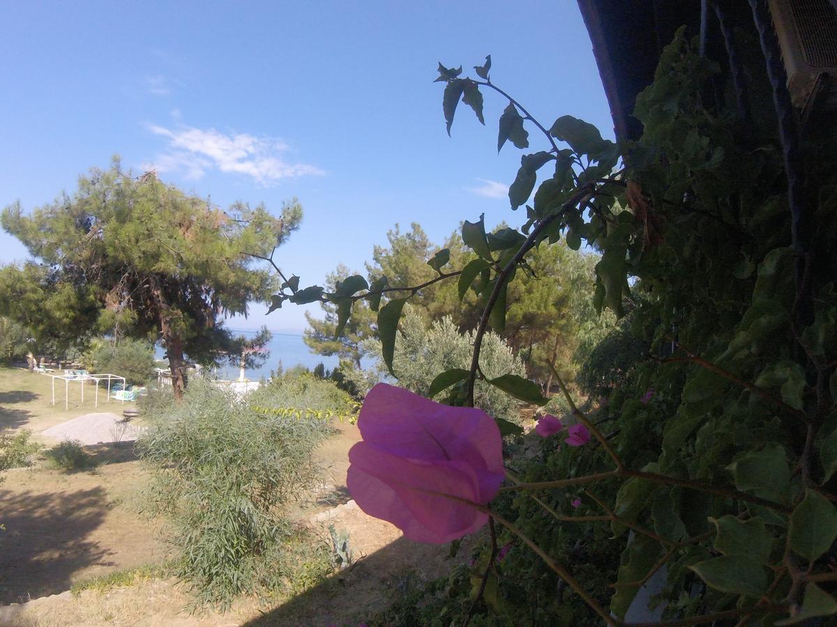 Rainbow Bay Ozdere Beach Hotel Экстерьер фото